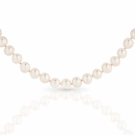 8-9mm Freshwater Pearl Strand (17-1560)