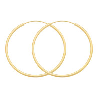 Hoop Earrings (14-2277)