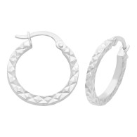 Hoop Earrings (24-2383)