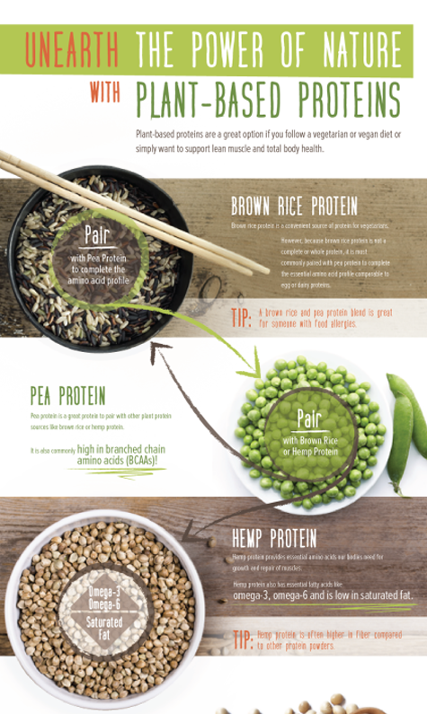 plant-based-infographic-2.png