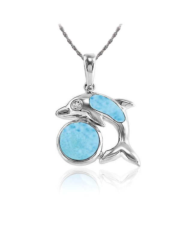 dolphin tracking necklace