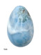 Carved Larimar Egg (#742) - side