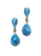 Premier Collection Larimar Double Teardrop Post Earrings