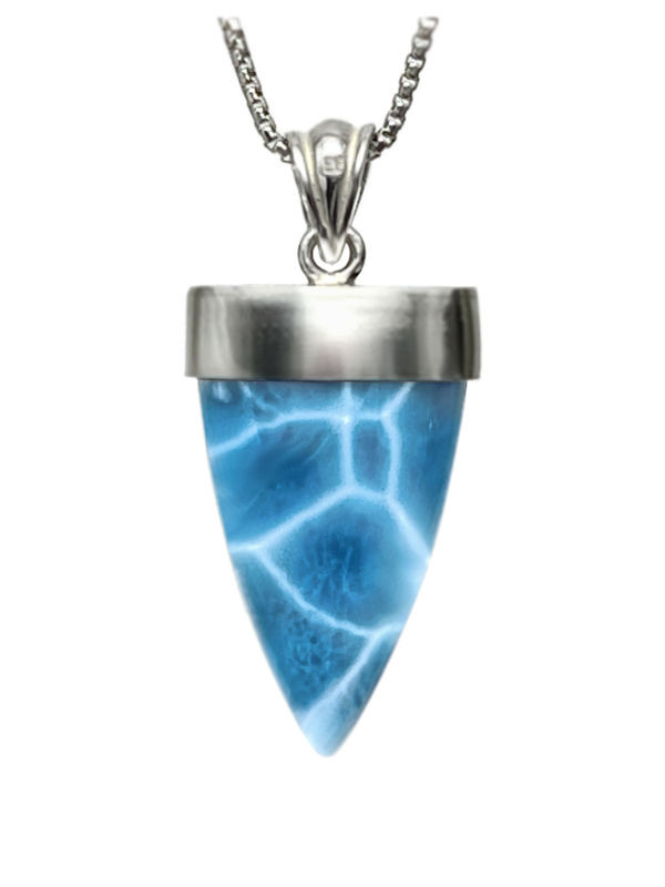 Premier Collection Shark Tooth Larimar Pendant - Medium (#LMB-180)