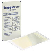 Tapper LTD Glue Traps