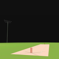 Cricket sports field with LED light fixtures and light poles