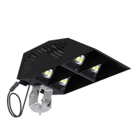 470W, WiLLsport® KB4 High-Output Sport LED Light Fixture, 60000 Lumens