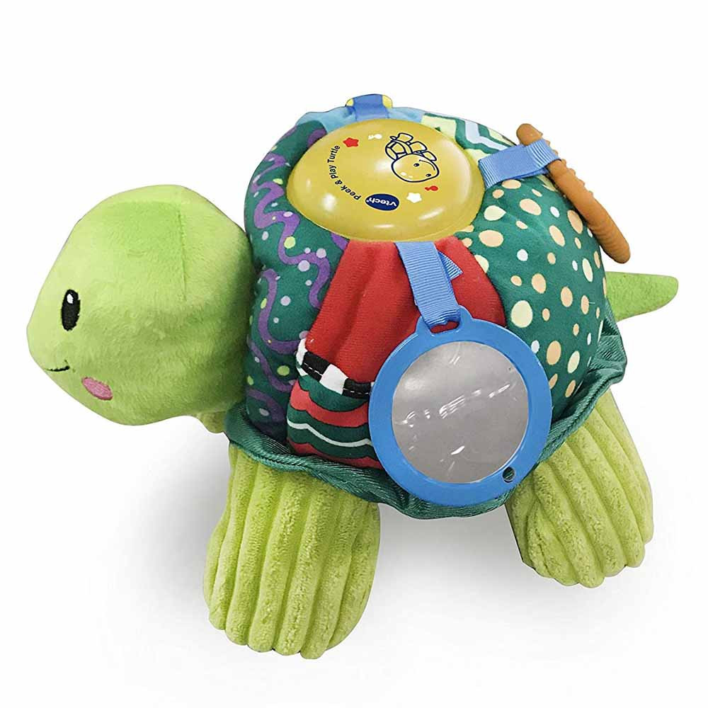 sensory turtle toy