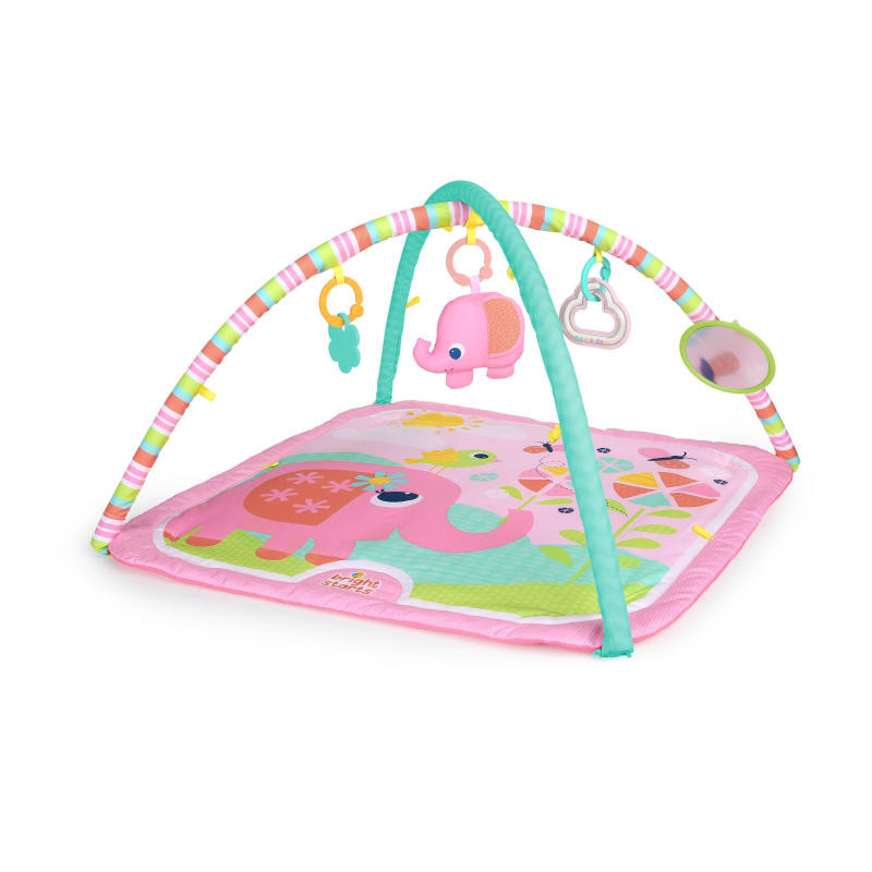 bright starts zippy zoo activity gym