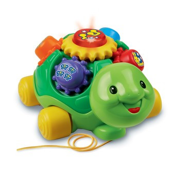 pull and play turtle