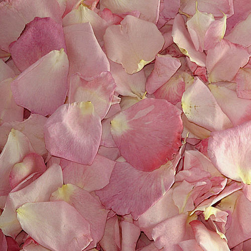 what are petals used for