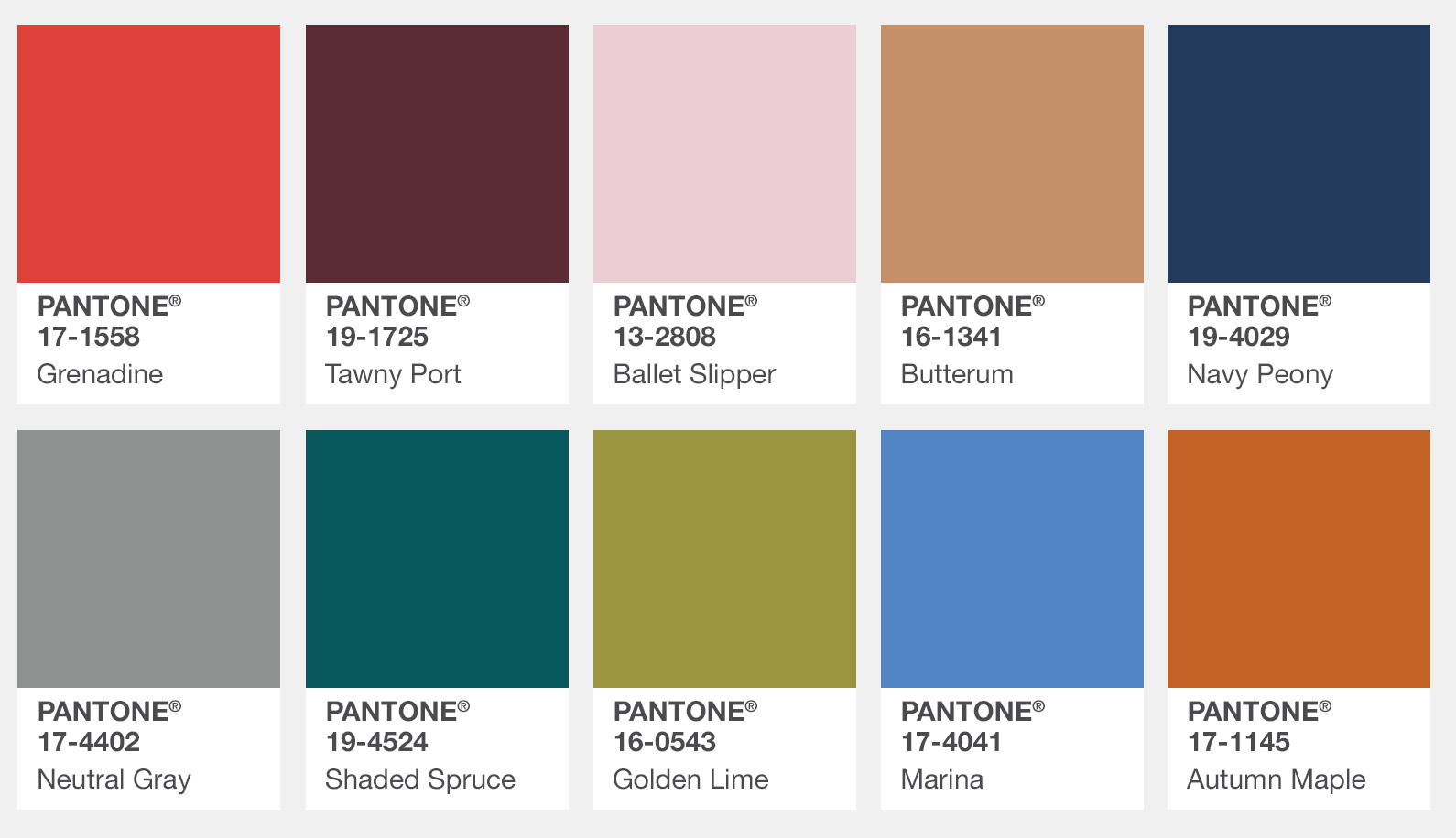 Pantone 2017 Fall Warm Colors Flyboy Naturals, Inc