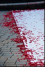 melissa-mazur-wedding-with-flyboy-naturals-wedding-reds-rose-petals.-12.2018.1.jpeg.jpg