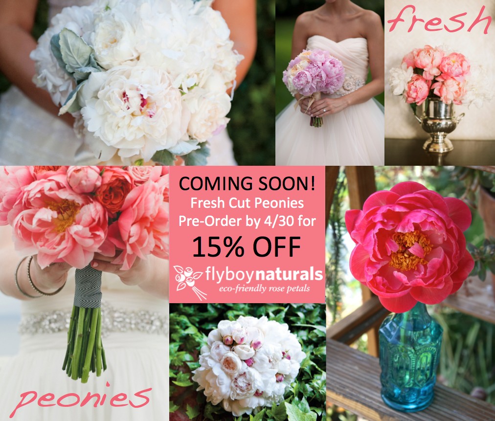 Fresh Cut Peonies Preorder Special Flyboy Naturals, LLC