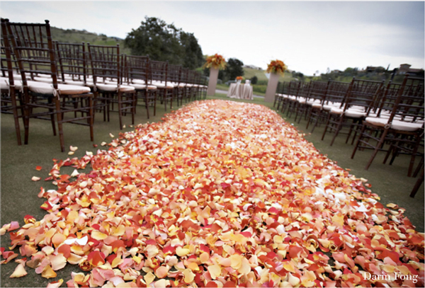 freeze dried petals for fall weddings flyboy naturals rose petals
