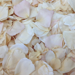 Color Series: Antique Rose Petals for Vintage Weddings and Events ...