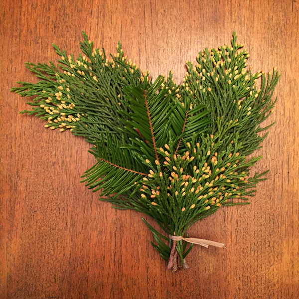 DIY Fresh Greens Garland Flyboy Naturals Flyboy Naturals, LLC