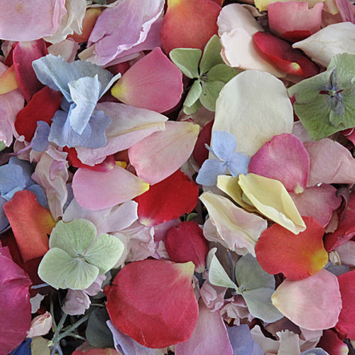 Assorted FLOWER Preserved Freeze Dried Petal Blend
