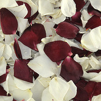 Kelsey's Blend Preserved Freeze Dried Rose Petals