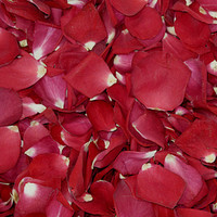 Falling In Love Preserved Freeze Dried Rose Petals