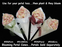 Blooming Petal Cones- holds 1/2-3/4 cup petals