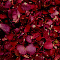 "BB" Wedding Reds Preserved Freeze Dried Rose Petals
