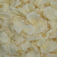 Bridal White/Ivory Preserved Freeze-dried Rose Petals-Fragrant