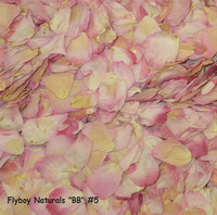 "BB" #5 Blend Preserved Freeze Dried Rose Petals