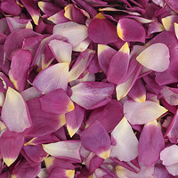 Love Affair Preserved Freeze Dried Rose Petals