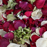 Wonderland Blend Preserved Freeze Dried Rose & Hydrangea Petals