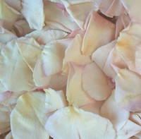 Wedding Blush Preserved Freeze Dried Rose Petals