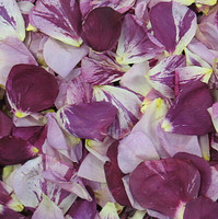 Memorial Petals Preserved Freeze Dried Rose Petals | Flyboy Naturals