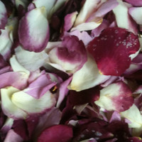 "BB" Very Berry Preserved Freeze Dried Rose Petals Blend