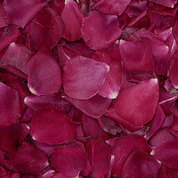 Olympiad Preserved Freeze Dried Rose Petals