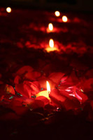 Romantic Evening with Rose Petals