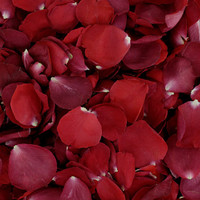 Ole' Red Preserved Freeze Dried Rose Petals