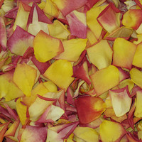 Confetti Rose Preserved Freeze Dried Rose Petals