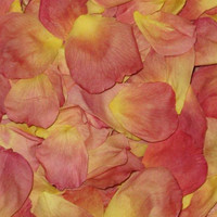 Sunrise Preserved Freeze Dried Rose Petals
