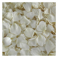 Bridal White/ Ivory Preserved Freeze-dried Rose Petals - Fragrant- 30 cups from Flyboy Naturals