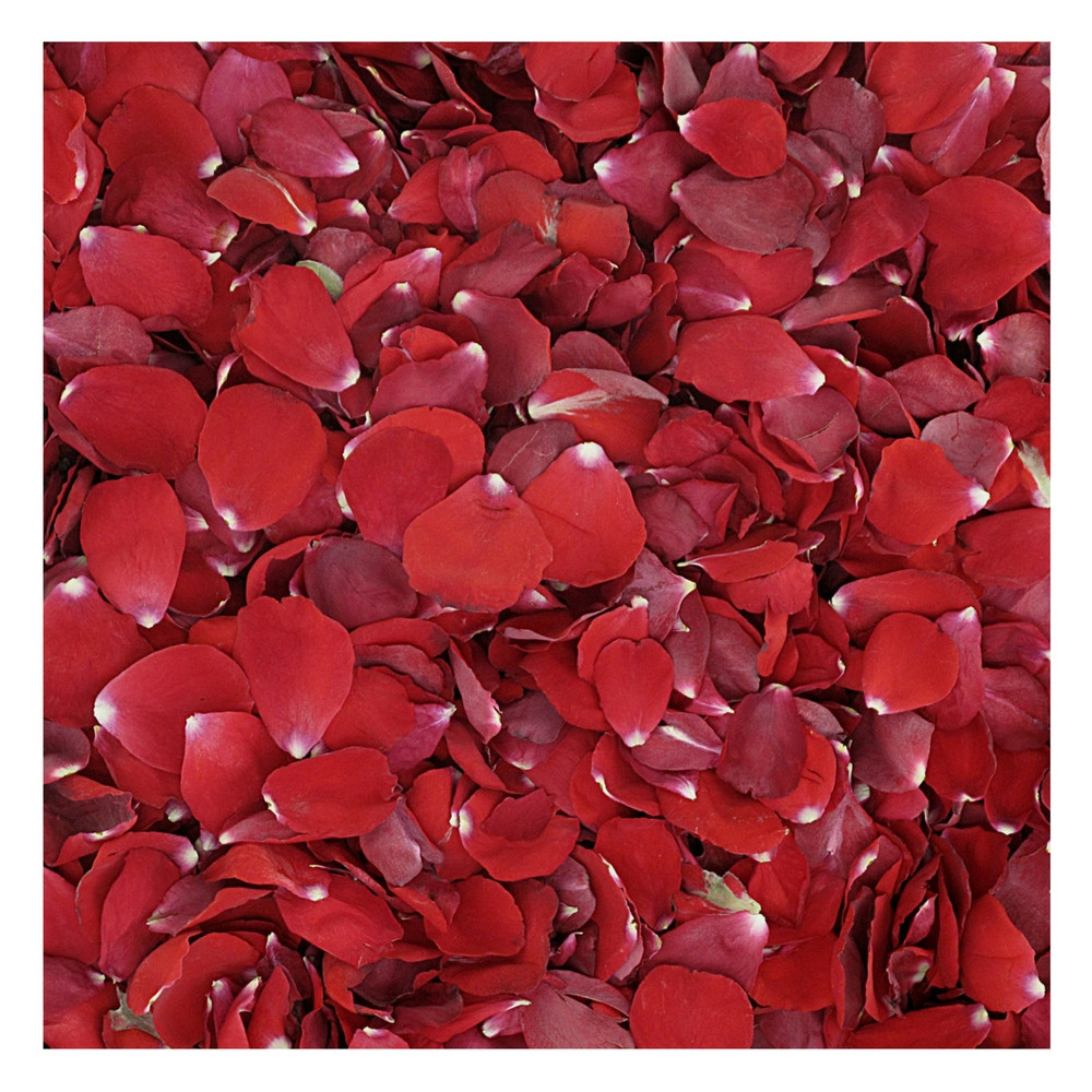Bridal Red Rose Petals. Wedding Petals from Flyboy Naturals. Real Rose