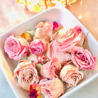 NEW! Petite Pink Rosebuds | 12 Freeze- dried Mini Roses, Craft Supply, Wedding Decoration, Resin Jewelry Supply  