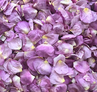 NEW!  All Dressed Up Pink Rose Petals