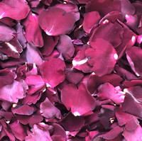 New! Oh My Red Rose Petals Eco-friendly & Bio-degradable