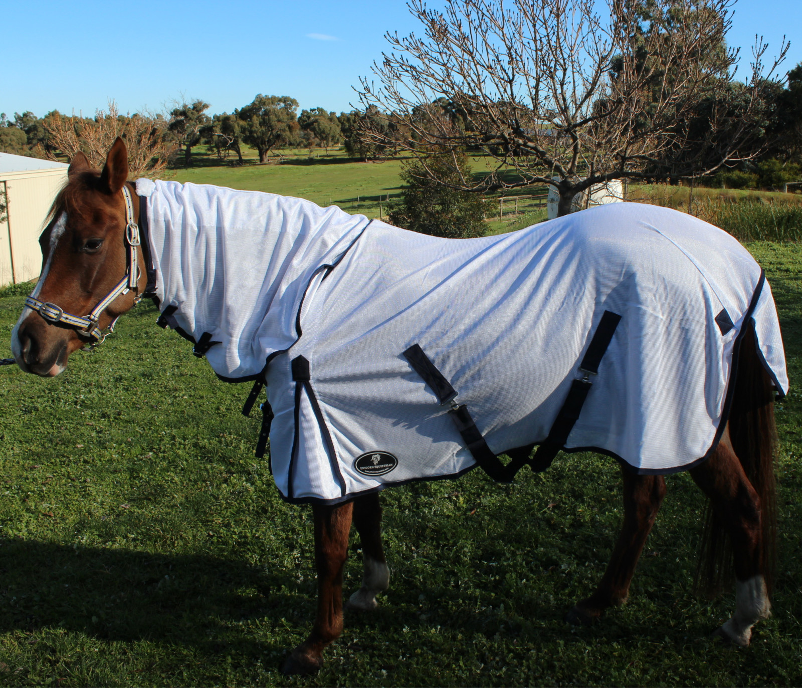 Fly Mesh Combo Horse Rug Unicorn Equestrian Goods