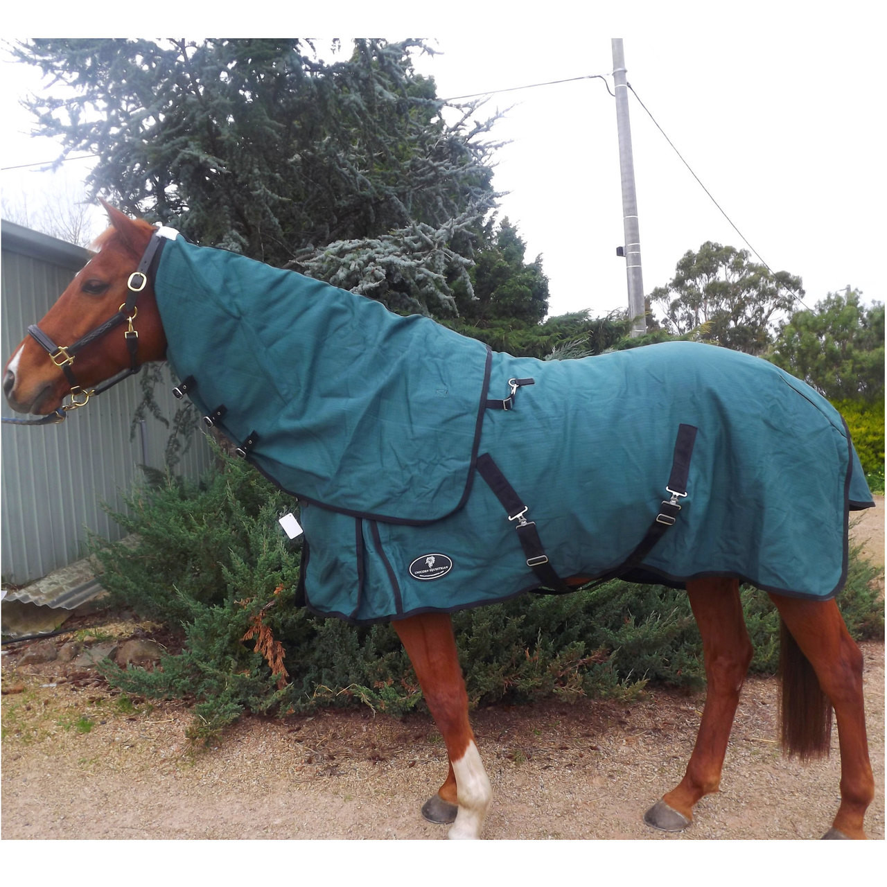 20oz Woolen Lined Canvas Shoerproof Rug Unicorn Equestrian