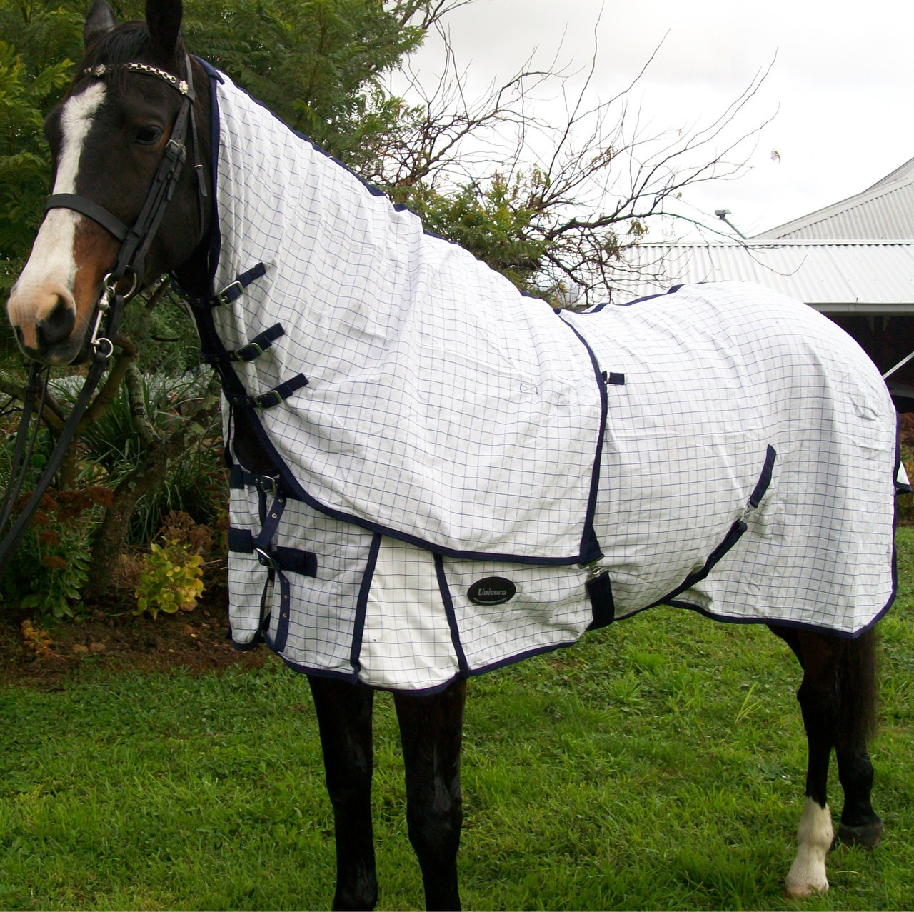 Buy Desire Cotton Ripstop Detachable Neck Horse Rug