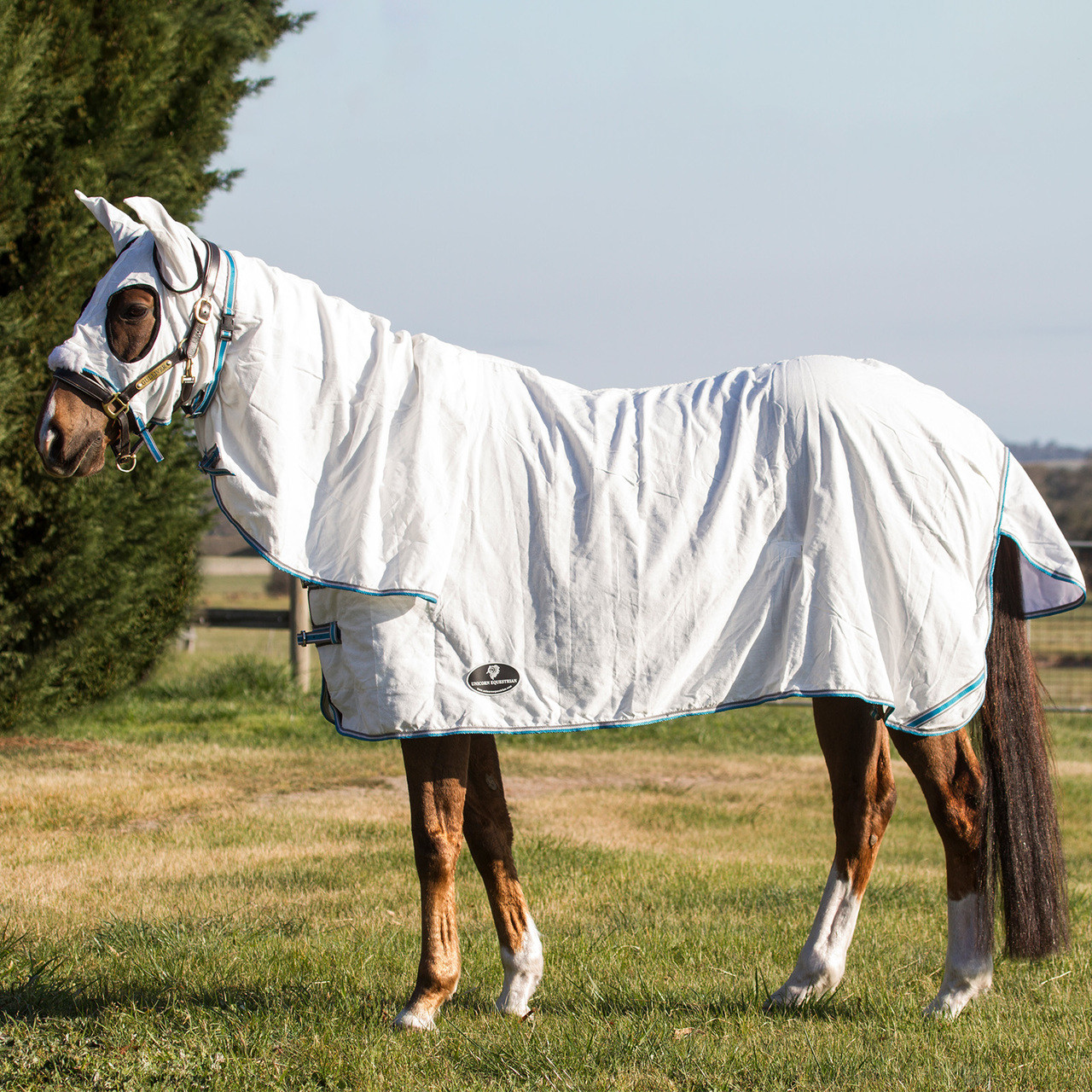 Unicorn Equestrian Cotton Horse Rug