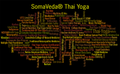  SomaVeda® Fundamentals of Thai Yoga and Thai Massage 