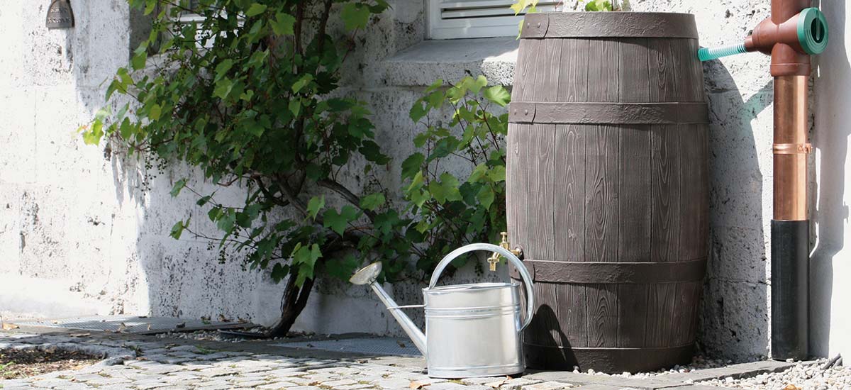 Eco Paint, Organic Natural Paint, Eco Friendly Products & Materials