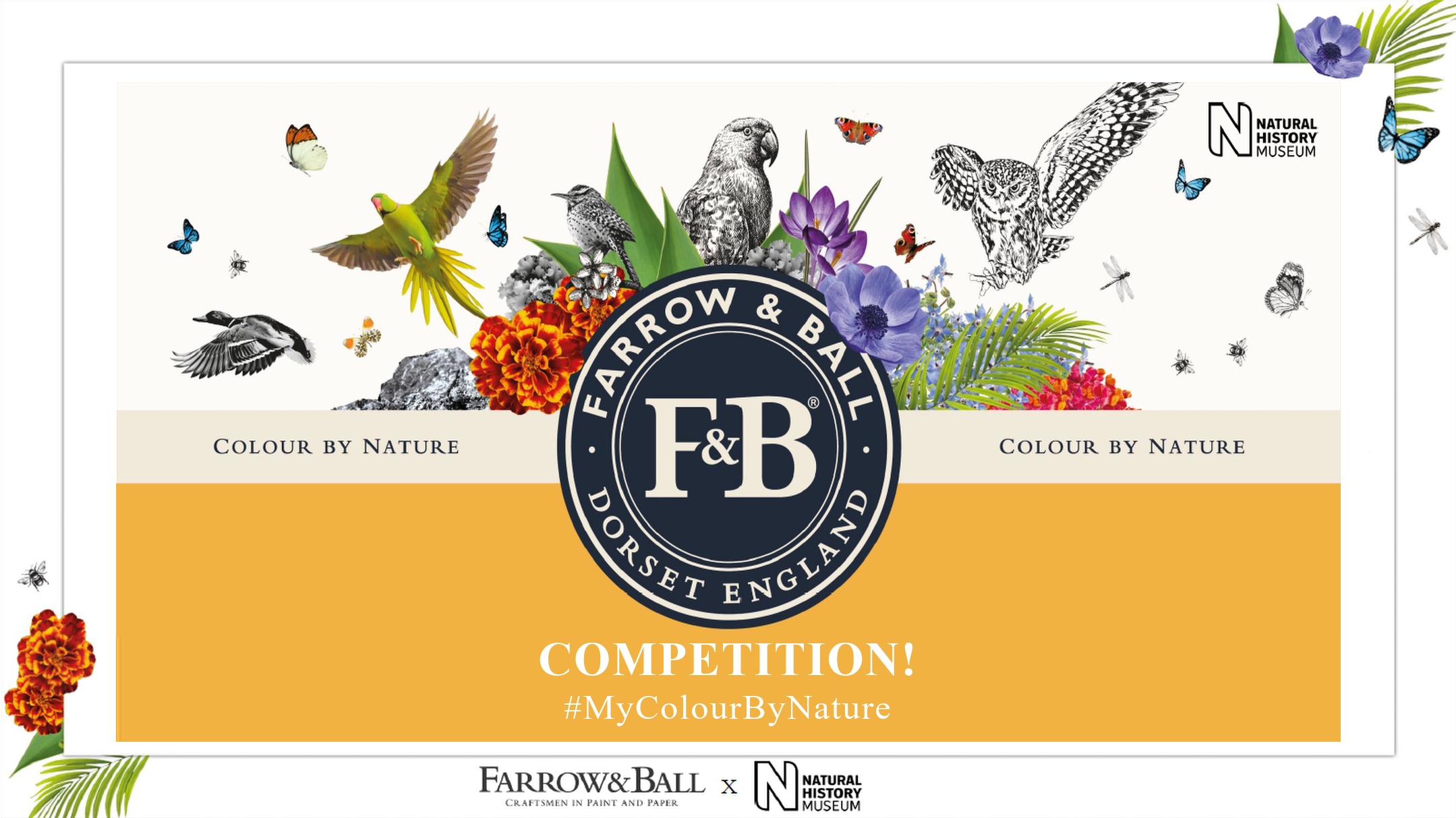 Competition: Design Your Own Farrow And Ball Paint Colour - Celtic ...